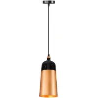 Toolight Lampe Suspendue APP196-1CP Fox Gold