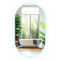 Drukarnia Piga (46x80 cm) Miroir Salle De Bain LED Ovale Allongé Lumière Froide Miroir Lumineux Design Moderne