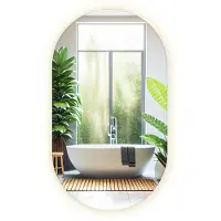 Drukarnia Piga (52x90 cm) Miroir Ovale Allongé LED Lumière Chaude Miroir Mural Lumineux Sans Cadre