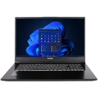 Wortmann AG Gamer Elite Mobile Terra (17.30", 2048 Go, 32 Go, US), Ordinateur portable, Noir