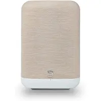 Bluesound PULSE FLEX P130