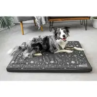 Welsti Lit pour chien, matelas pour chien, gris foncé L 100x70