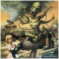 MUSIC ON CD Screaming Trees - Uncle Anesthesia [Cd] Holland - Import