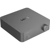 WIIM Vibelink Amp Gris