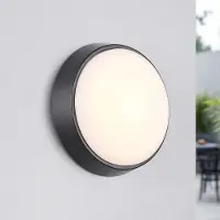 LumenXL Lampe murale ronde 14W différentes couleurs de lumière