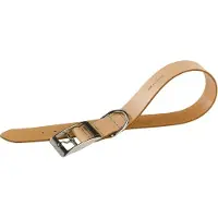 Ferplast Collier De Chien Natural Leather C 15 Mm 35 Cm