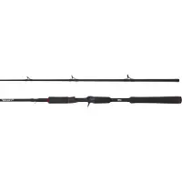 Abu Garcia Canne Baitcasting Beast Pike