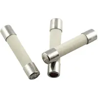 Eska 528.22 52822 Fusible fin (Ø x L) 5 mm x 25 mm 3.15 A 250 V à action retardée -m (3.15 A)