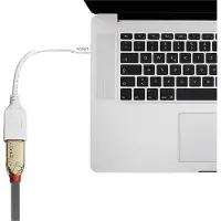 Lindy - Adaptateur DisplayPort - Mini DisplayPort (M) pour DisplayPort (F) - 15 cm - blanc