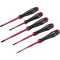 Rittal Screwdriver set