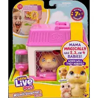 Little Live Pets Mama Surprise Mini Hamster Speelset