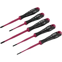 Rittal Screwdriver set