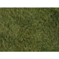Noch Foliage herbe sauvage 07280 Vert clair