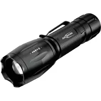 Ansmann Lampe de poche Action 400 UV LED, Ampoule UV à pile(s) 100 lm 27 h