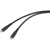 Renkforce RF-6662038 (0.50 m, USB 4, 240 W)