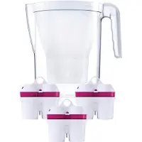 BWT 815485-A 815526 Vida Starterpack + 3X Filtres LongLife