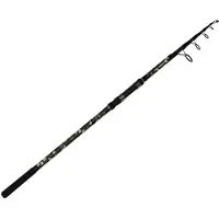ZFISH Canne Carpfishing Kingstone Tele