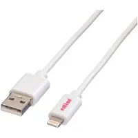 Roline Câble USB pour Apple avec connecteur Lightning, 0.15m (11.02.8326)