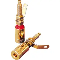 Dynavox Connexion des haut-parleurs - Banana Chassis - Professional -
