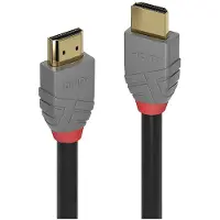 Lindy HDMI (Typ A) — HDMI (Typ A) (0.30 m), Câble vidéo, Noir