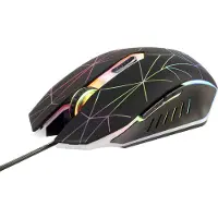 Renkforce RF-GM-120 Souris droite USB Type-A Optique 3600 DPI (RF-4746664)