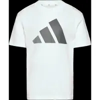Adidas T-Shirt fonctionnel 'Essentials' gris / blanc