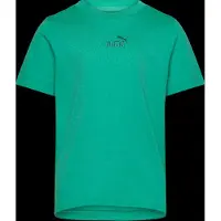 Puma T-shirt enfant ESS Small No. 1 Logo Centered Tee garcons - Vert - 9 / 10 ans