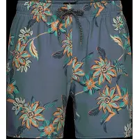Rip Curl Sessions Swimming Shorts Bleu S Homme