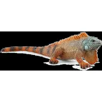 Schleich Figurine - - Iguane - Wild Life - Beige - Mixte