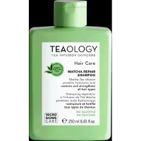 Teaology Matcha Tea Repair Shampoo shampoing fortifiant 250 ml