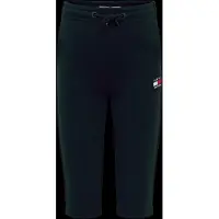 Tommy Hilfiger Pantalon 'HERITAGE' bleu marine / rouge vif / blanc