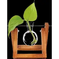 Winkee Hydro Vases Lilly - Vase (1x)