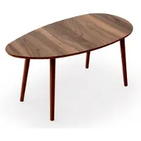 Skye Decor Nora Coffee Table