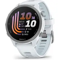 Garmin - Montre GPS avec stockage de musique intégré - Forerunner 170 Music Blanc Ciel en Silicone
