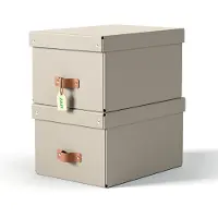 Leitz Puro Medium Storage Box 2 Units Doré Enfants