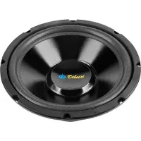 Dibeisi 10 "DBS-G1001 4-ohm haut-parleur (110 W, 25 cm)