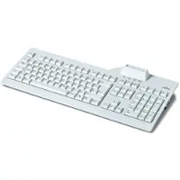 Fujitsu KB SCR2, Taille complète (100%), filaire, USB, QWERTZ, gris