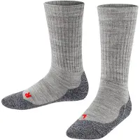 Falke Chaussettes gris / gris foncé