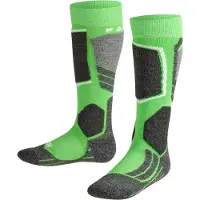 Falke Chaussettes de sport gris foncé / vert clair / noir / blanc
