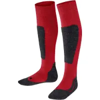 Falke Chaussettes gris foncé / rouge sang