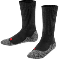 Falke Chaussettes gris foncé / rouge / noir