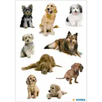 Herma Sticker Chiens (27 Autocollants)