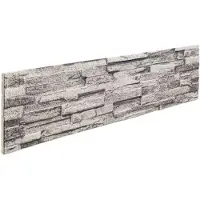 vidaXL Panneaux muraux 10 pcs Gris clair 100 x 25 cm Mousse EPS