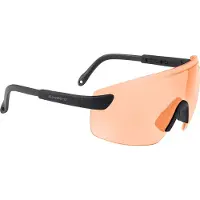 Swiss Swisseye Schutzbrille Defense rubber black