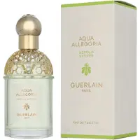 Guerlain - Aqua Allegoria Nerolia Vetiver - Eau De Toilette - 75 ML