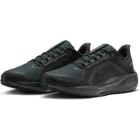 Nike Chaussures Air Zoom Pegasus 41 GTX FQ1356001