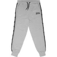 Lonsdale Pantalon de sport 'Thelee' gris clair