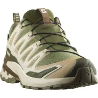 Salomon XA Pro 3D v9 GTX M L47820200 Chaussures de course Pullunder Taille : 41 1/3,