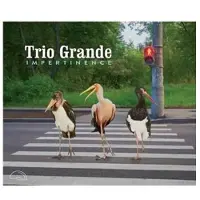 OUTHERE Trio Grande : "Impertinence
