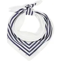 HUGO Foulard bleu / blanc